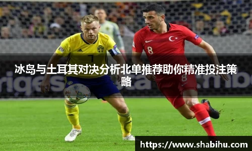 美嘉体育冰岛与土耳其对决分析北单推荐助你精准投注策略